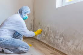 Why You Should Choose Our Mold Remediation Services in North Haverhill, NH